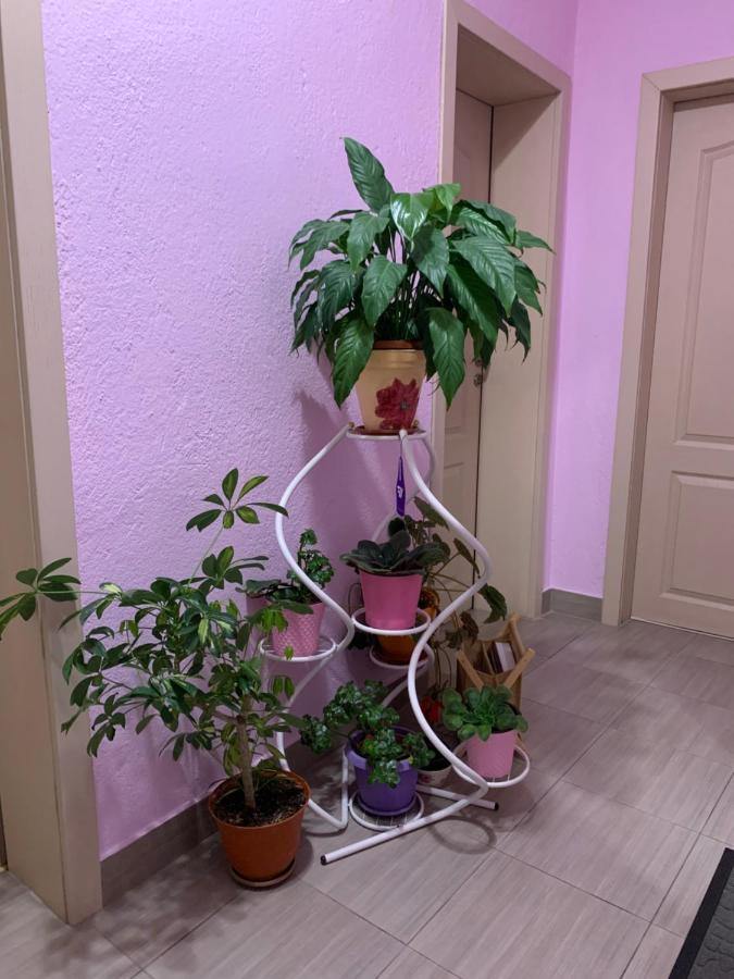 פאבל באניה Къща За Гости Стойнови מראה חיצוני תמונה